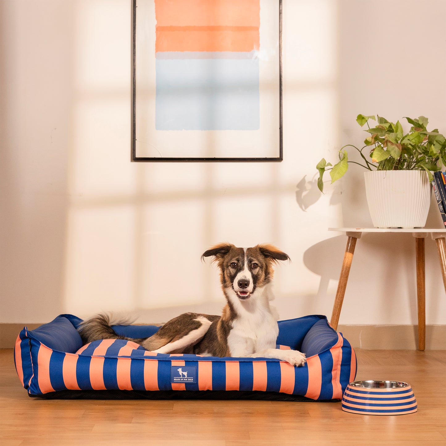 HUFT Happy Stripes Lounger Bed For Dog - Navy & Peach - Heads Up For Tails