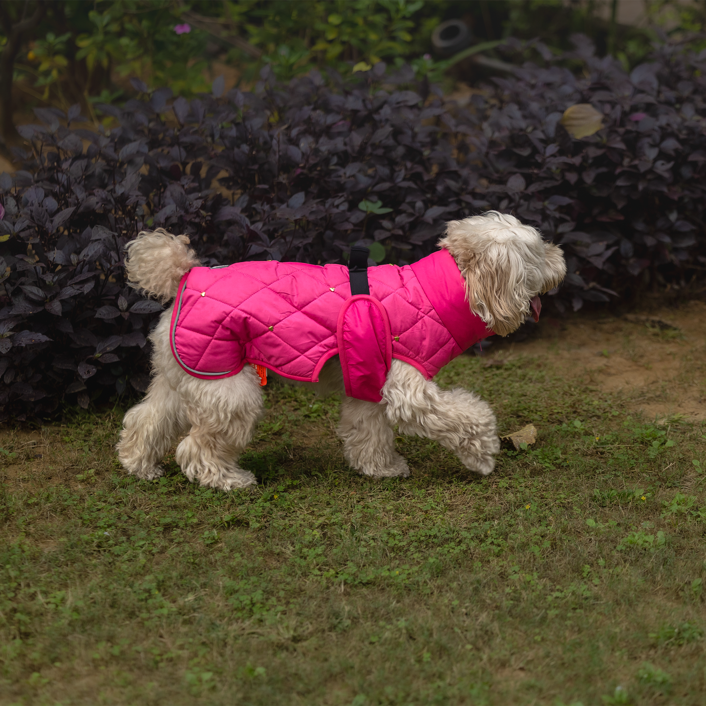 HUFT Starburst Snuggle Jacket For Dog - Pink