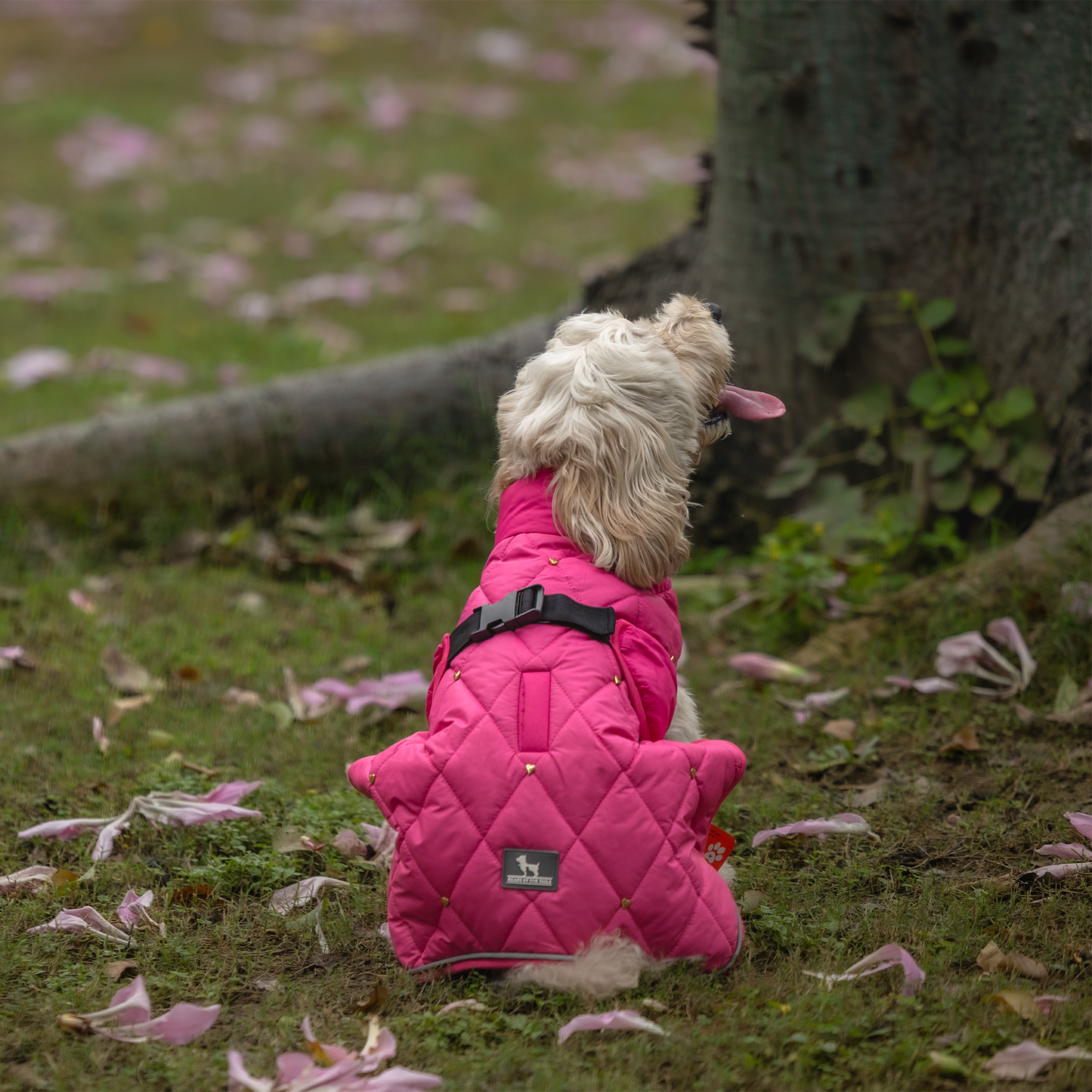 HUFT Starburst Snuggle Jacket For Dog - Pink