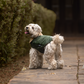 HUFT Puffer Paws Jacket For Big Dog - Green