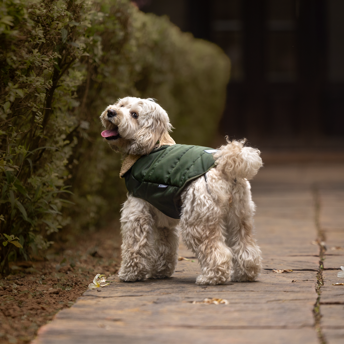 HUFT Puffer Paws Jacket For Big Dog - Green - Heads Up For Tails
