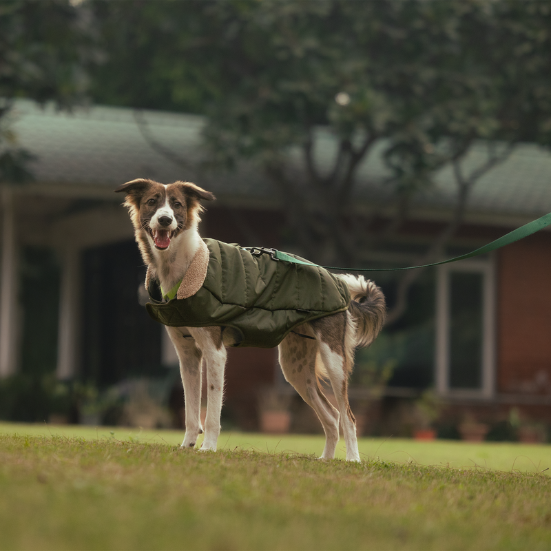 HUFT Puffer Paws Jacket For Big Dog - Green - Heads Up For Tails