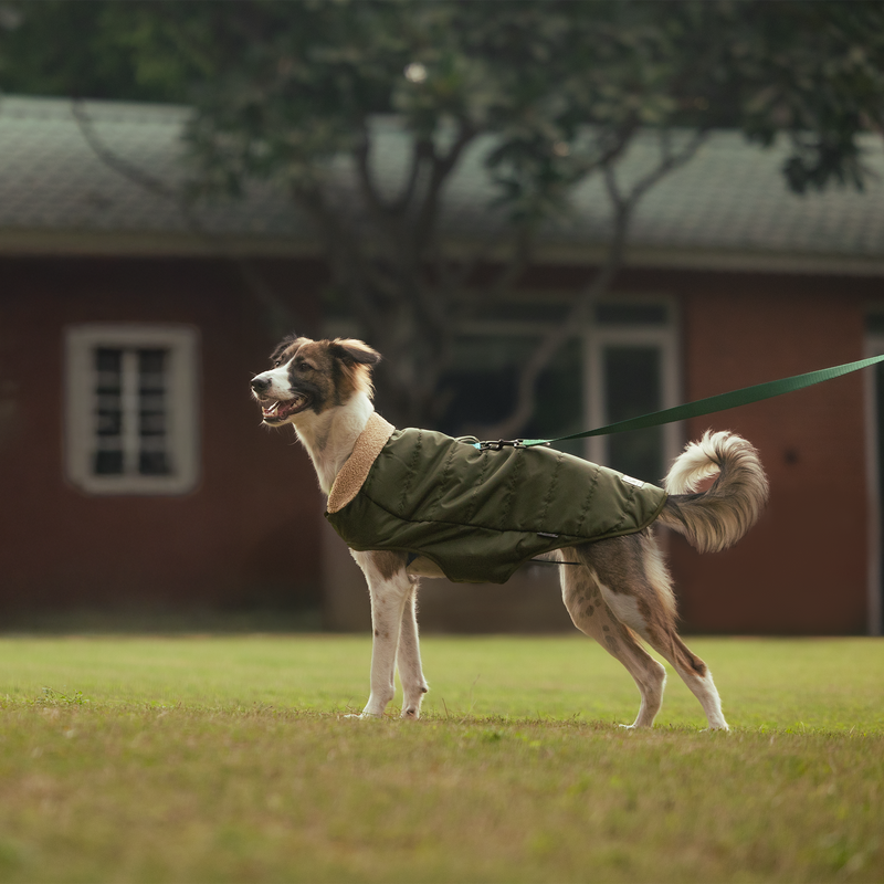 HUFT Puffer Paws Jacket For Big Dog - Green - Heads Up For Tails