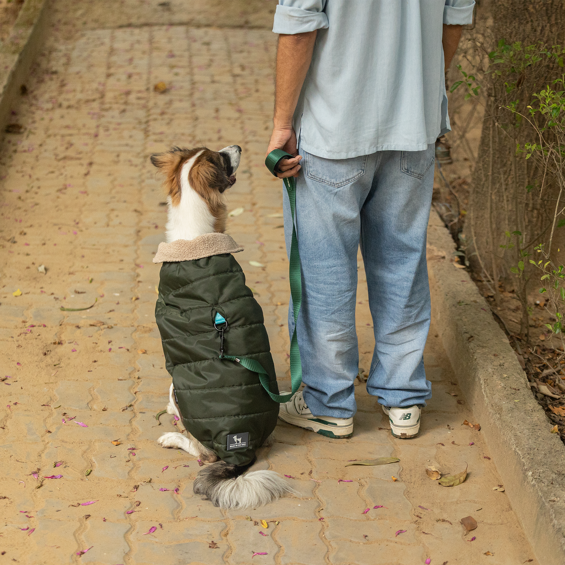 HUFT Puffer Paws Jacket For Big Dog - Green - Heads Up For Tails