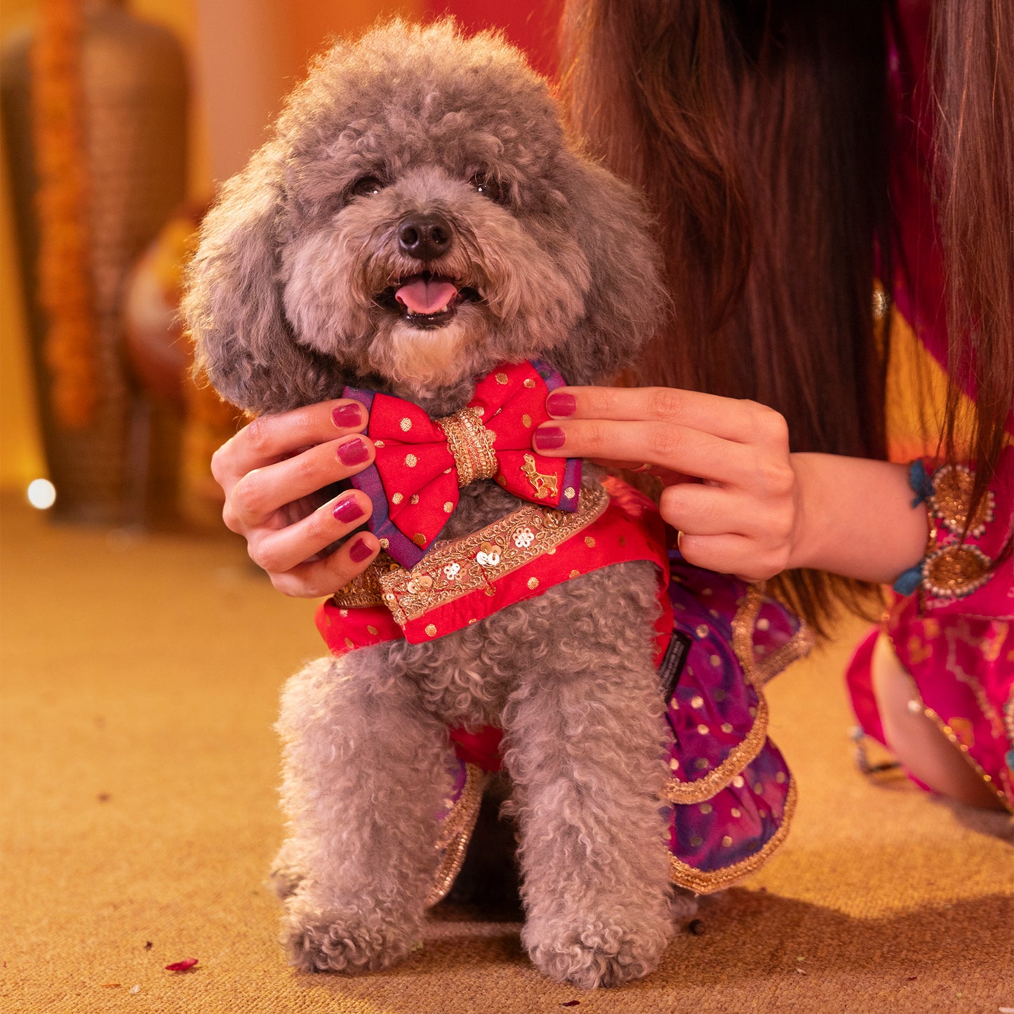 HUFT Desi Glam Bow Tie With Strap For Dog - Pink & Purple - Heads Up For Tails