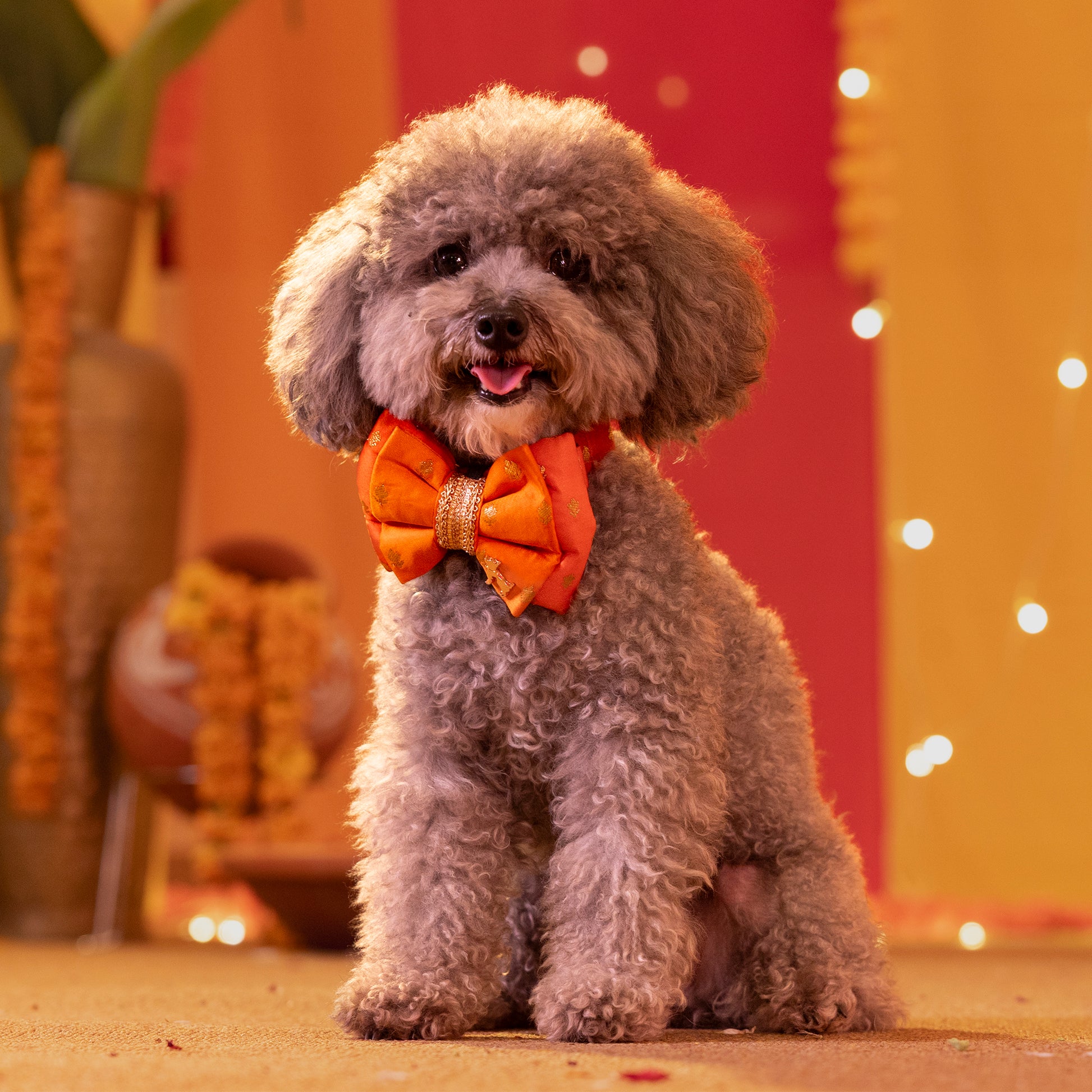 HUFT Desi Dazzle Bow Tie With Strap For Dog - Orange - Heads Up For Tails