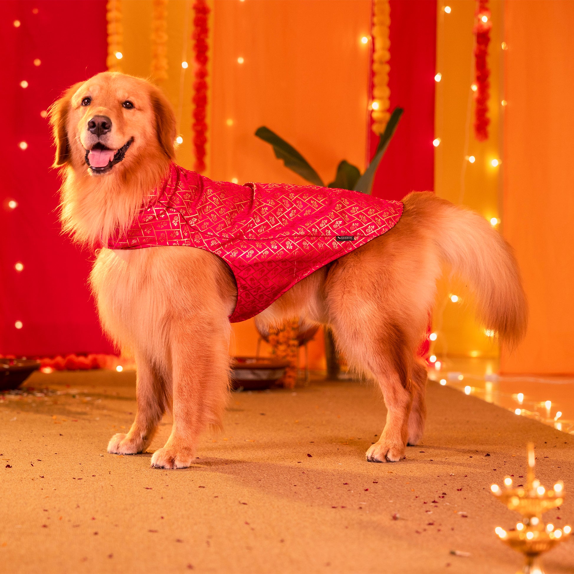 HUFT Petals & Pyaar Brocade Sherwani For Dog & Cat - Rani Pink - Heads Up For Tails