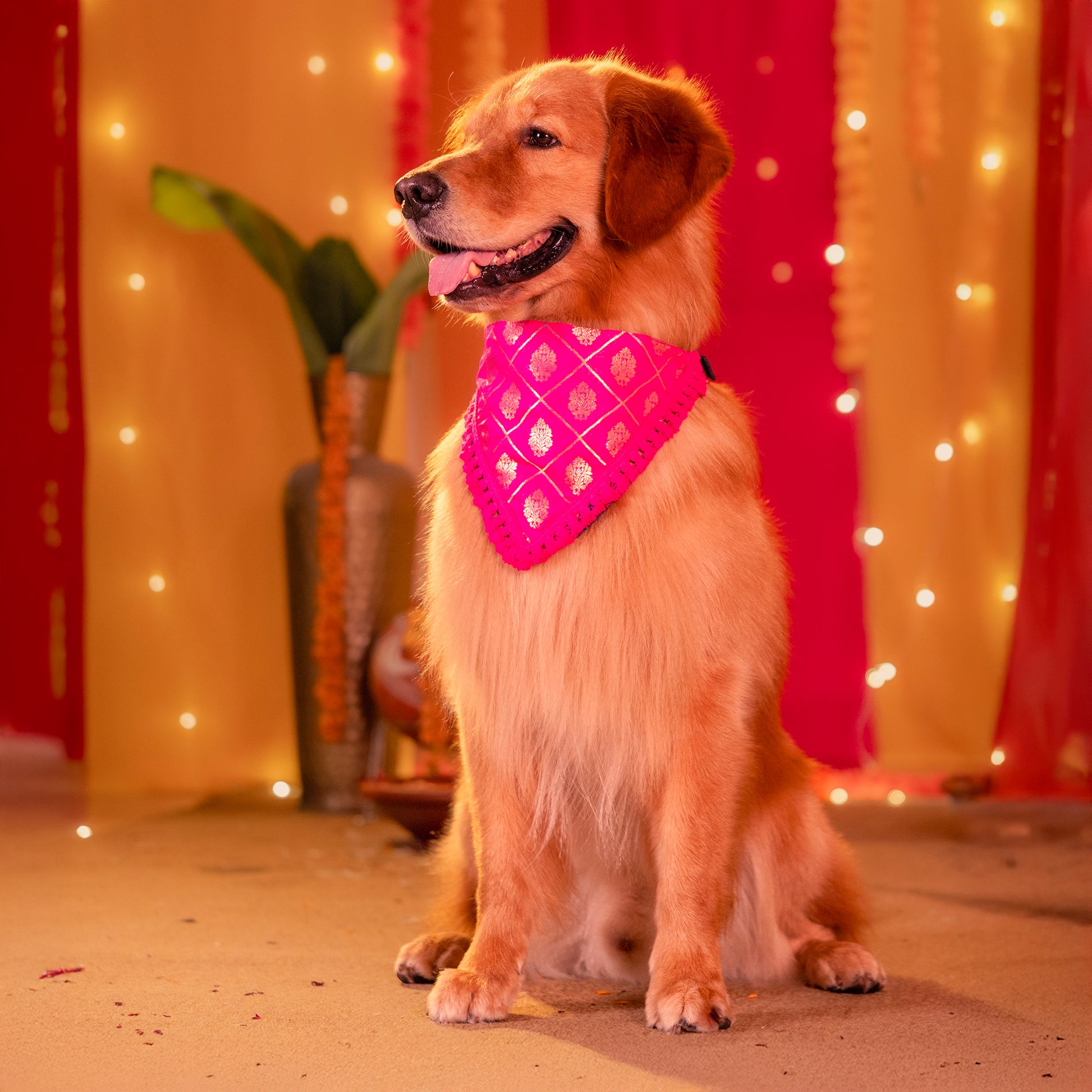 HUFT Gulabi Glow Bandana For Dog - Pink - Heads Up For Tails