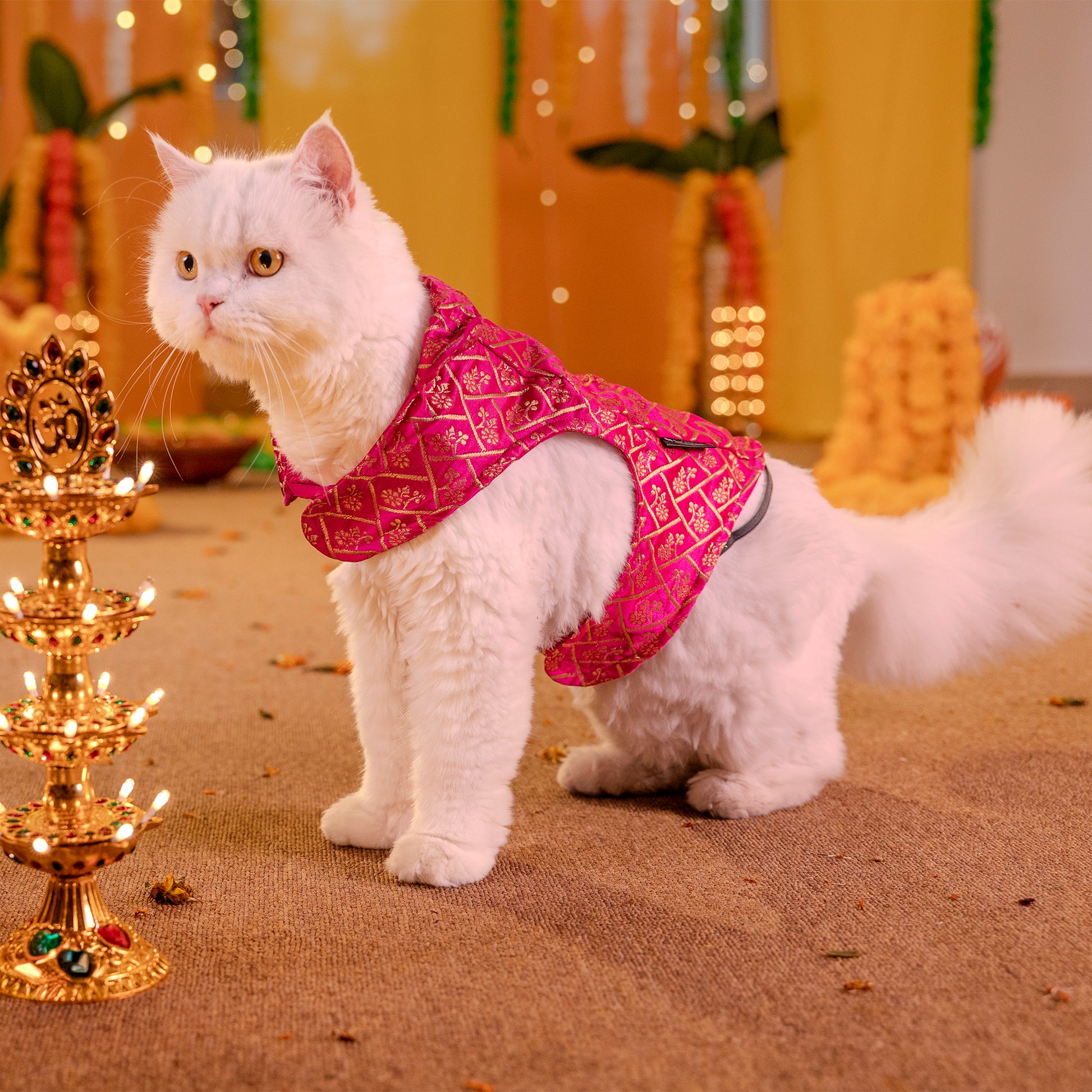 HUFT Petals & Pyaar Brocade Sherwani For Dog & Cat - Rani Pink - Heads Up For Tails
