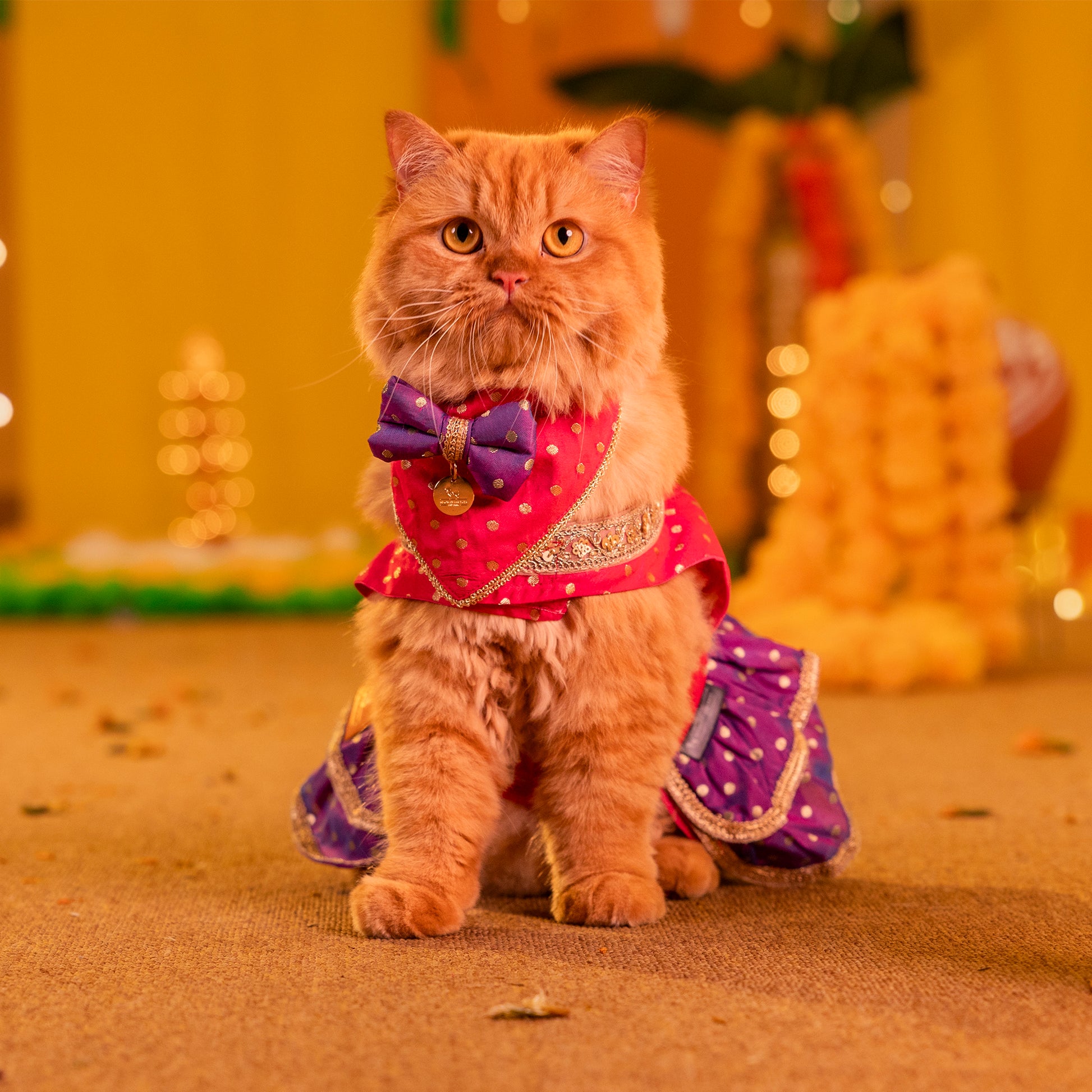 HUFT Desi Glam Bow Scarf For Cat & Puppy - Pink & Purple - Heads Up For Tails