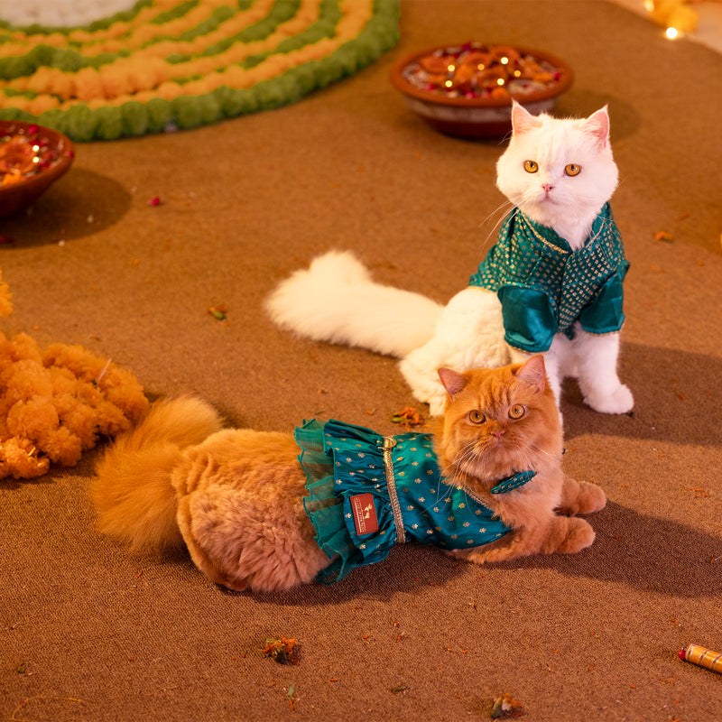 HUFT Desi Dazzle Dress For Dog & Cat - Green - Heads Up For Tails
