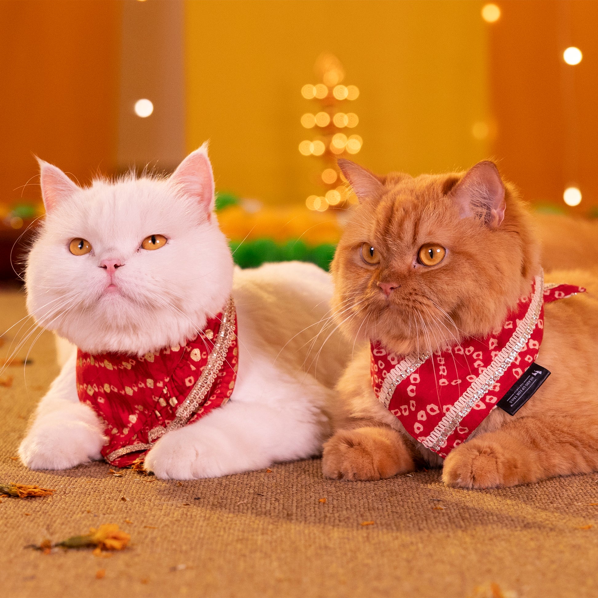 HUFT Super Sitara Scarf For Cat & Puppy - Red - Heads Up For Tails