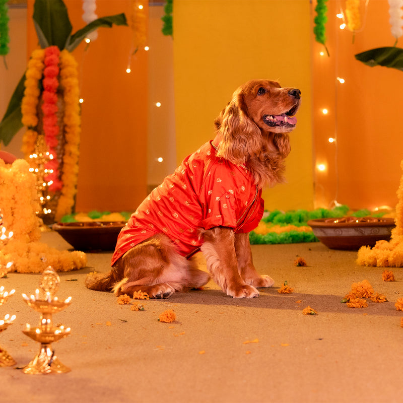 HUFT Royal Elephant Brocade Kurta For Dog & Cat - Orange - Heads Up For Tails
