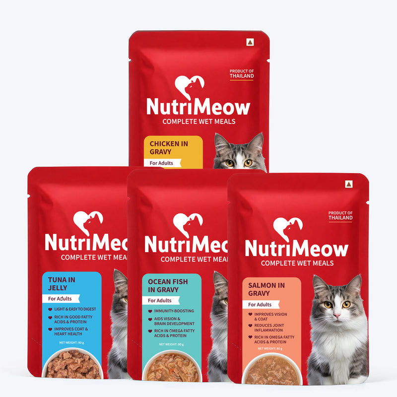 NutriMeow Adult Cat Food Trial Pack of 4 (80 gm each)
