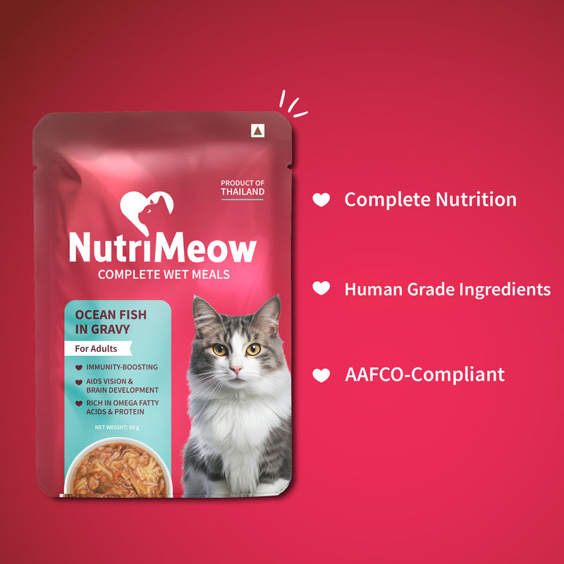 NutriMeow Adult Cat Trial Pack - Ocean Fish, Chicken, Salmon in Gravy & Tuna in Jelly - (4 x 80 gm) - Heads Up For Tails