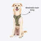 HUFT Active Pet Dog Harness - Olive Green