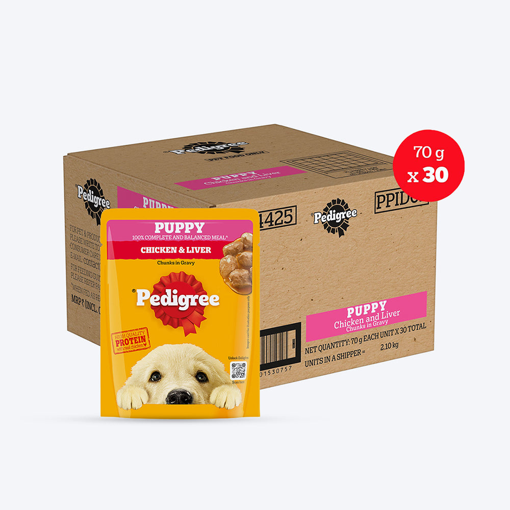 Pedigree Chicken & Liver Chunks In Gravy New Born Puppy Wet Food - 2.1 kg (30x0.07 kg)