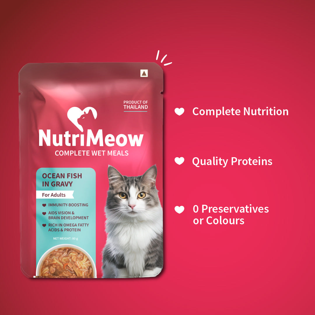 NutriMeow Oceanfish In Gravy Wet Food For Adult Cat - 80 gm - Heads Up For Tails