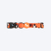 HUFT Peppy Penguin Collar For Dog - Orange