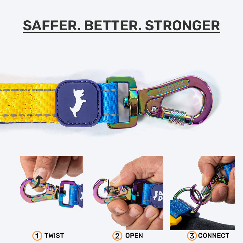 Dash Dog Dual Handle Leash For Dog - Royal Blue & Yellow
