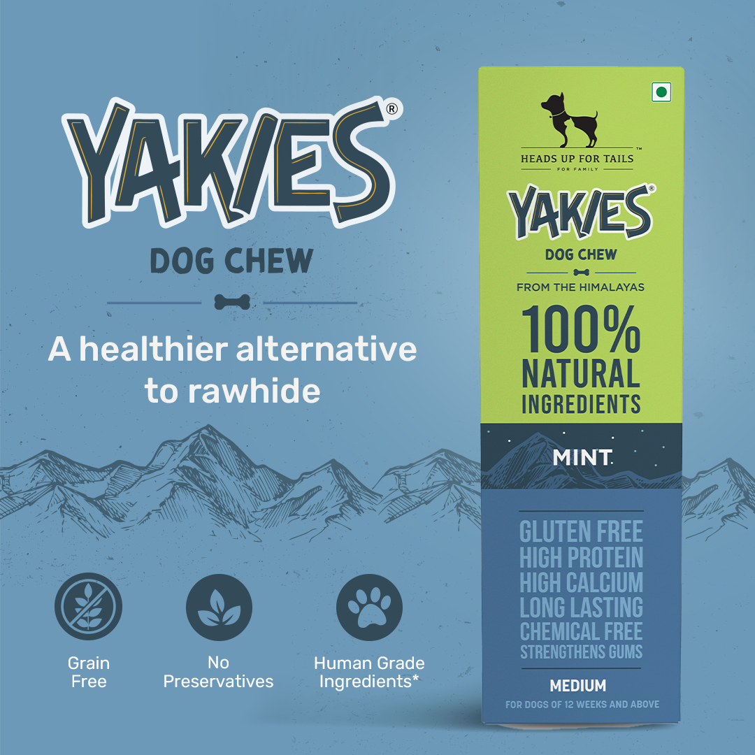 HUFT Wholesome Lamb, Apple Food & Mint Flavour Yakies Combo For Dog