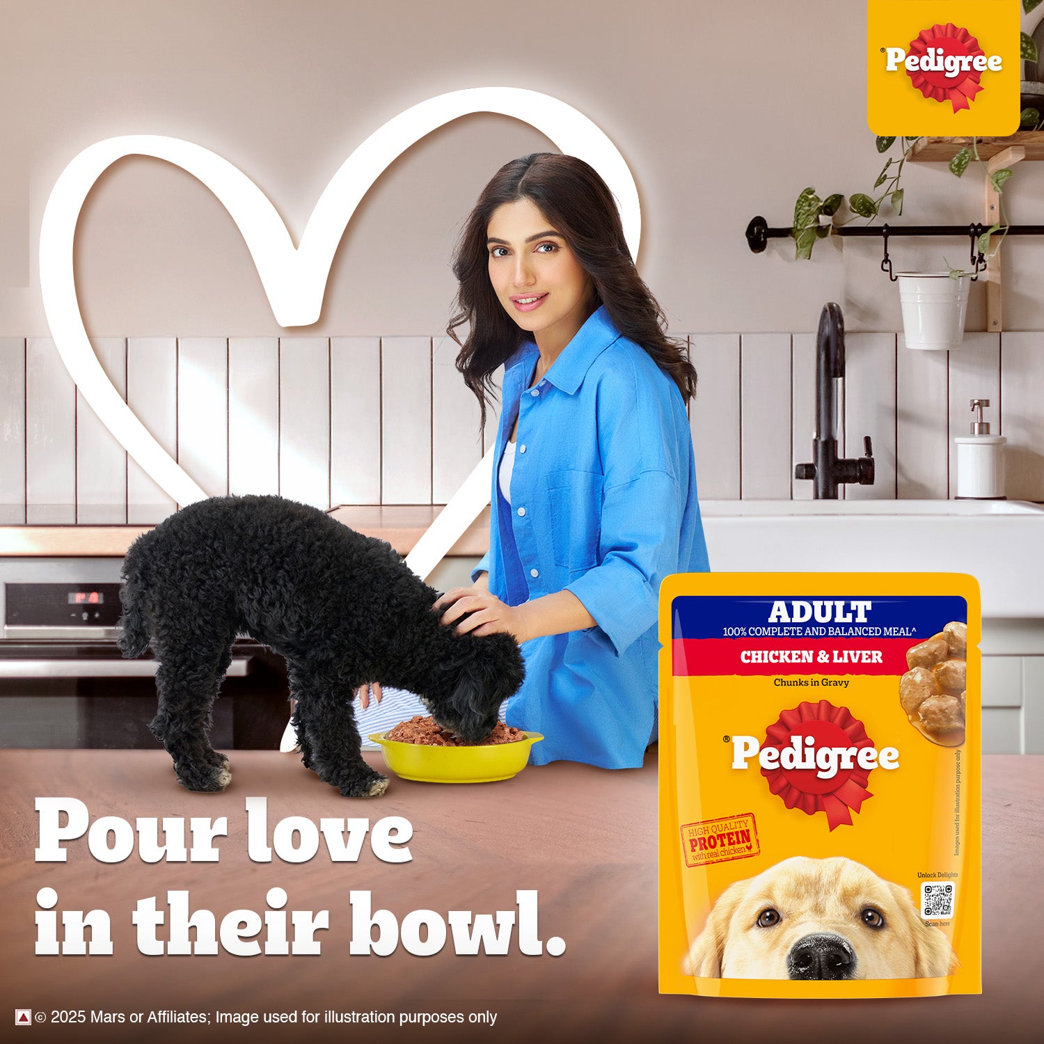 Pedigree Chicken & Liver Chunks in Gravy Adult Wet Dog Food - 70 g packs - Heads Up For Tails