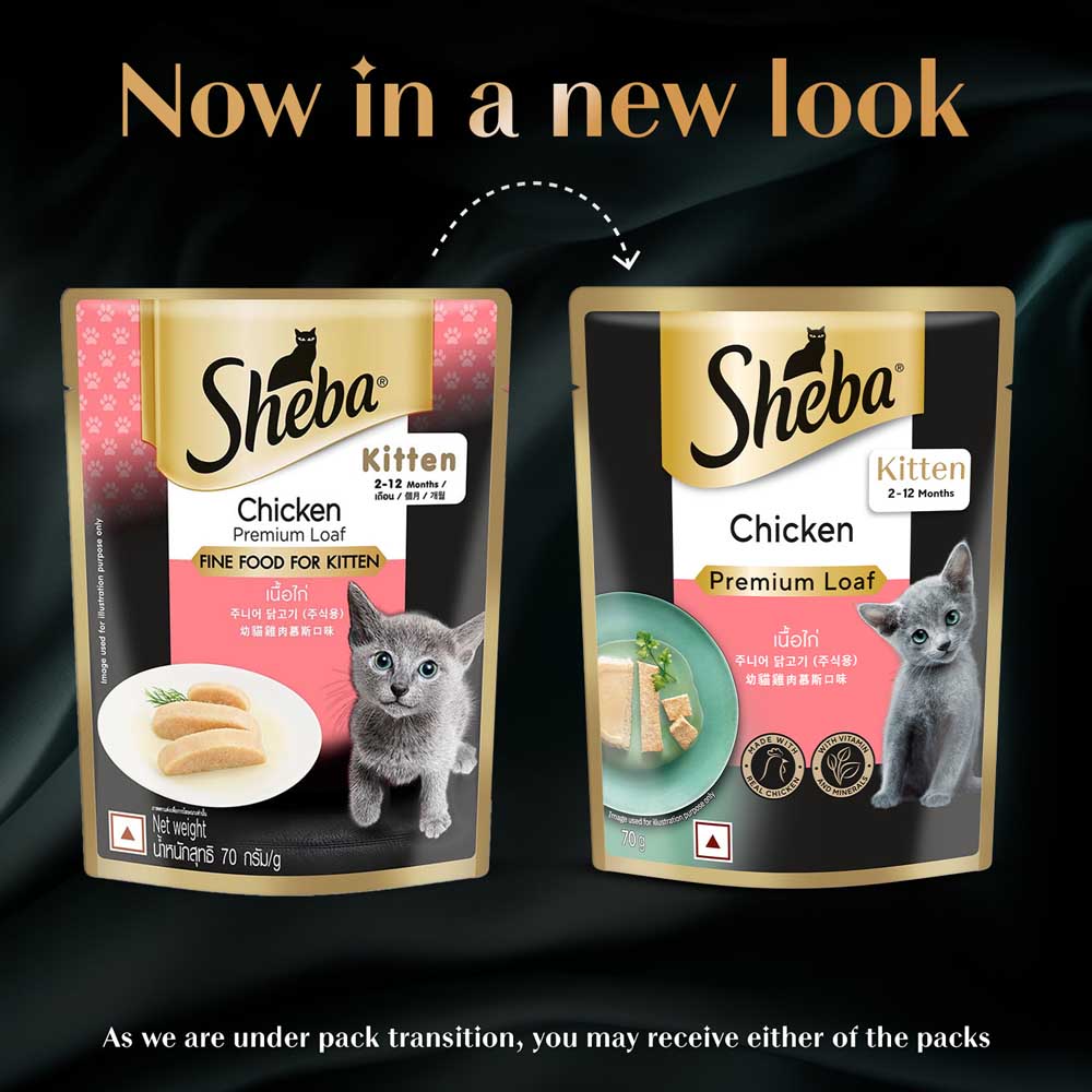 Sheba Chicken Premium Loaf Wet Kitten Food - 70 gm Packs - Heads Up For Tails