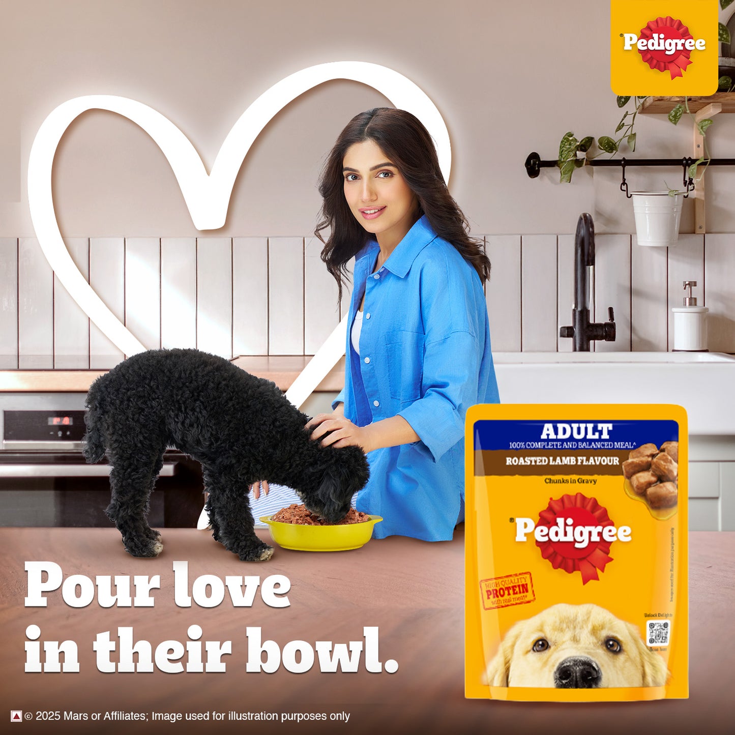 Pedigree Roasted Lamb Chunks In Gravy Adult Dog Wet Food - 70 gm