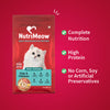 Nutrimeow Chicken and Fish Dry Food For Kitten - Heads Up For Tails