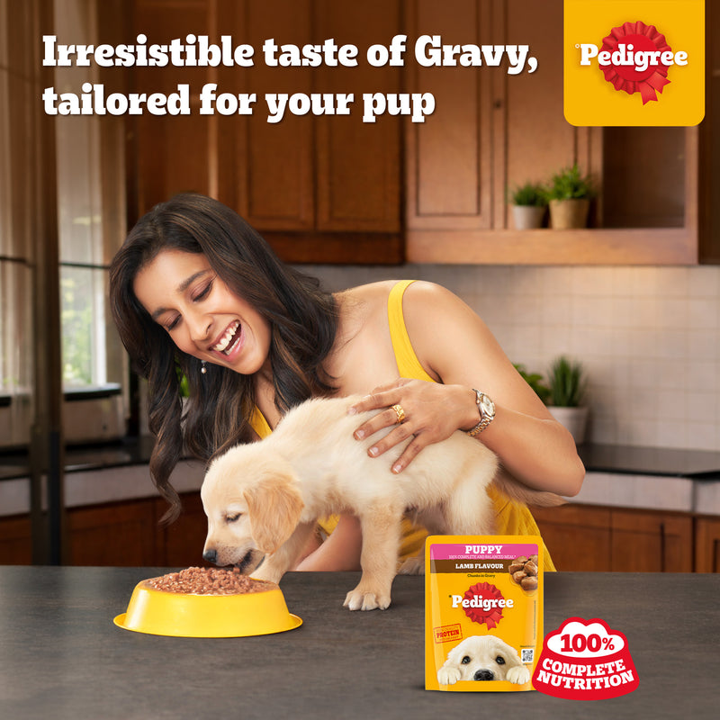 Pedigree Lamb Chunks In Gravy Puppy Wet Food - 70 g