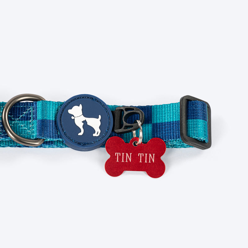 HUFT Frosted Checks Collar For Dog - Blue