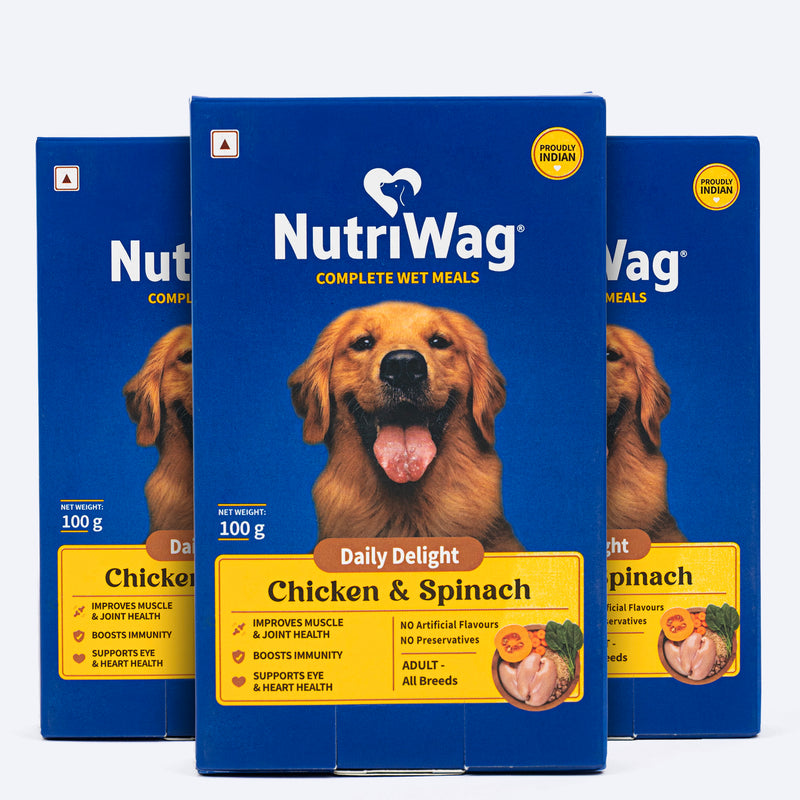 NutriWag Complete Meals With Chicken, Rice & Spinach Wet Food For Dog