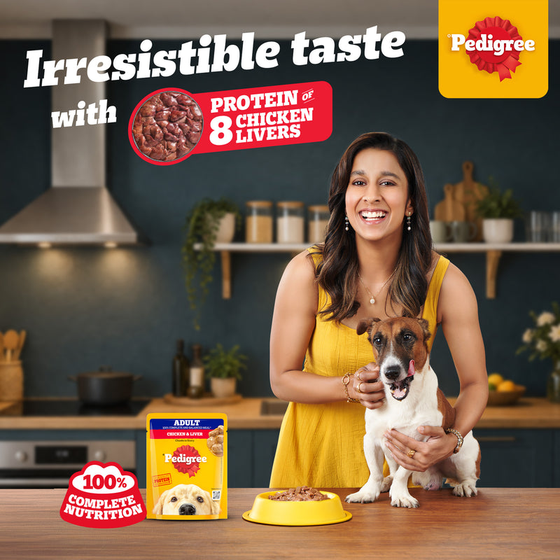 Pedigree Chicken & Liver Chunks in Gravy Adult Wet Dog Food - 70 g packs