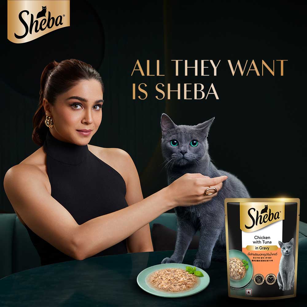 Sheba Rich Premium Chicken With Tuna In Gravy Adult Wet Cat Food - 70 gm Packs - Heads Up For Tails
