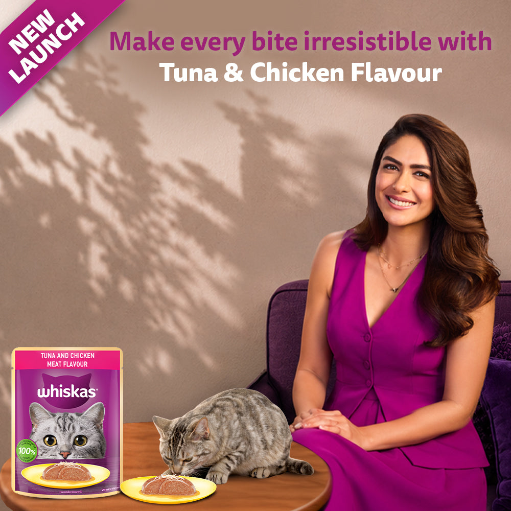 Whiskas Tuna and Chicken Meat in Jelly Flavour (1+ Years) Adult Cat Wet Food - 80 gm Pack