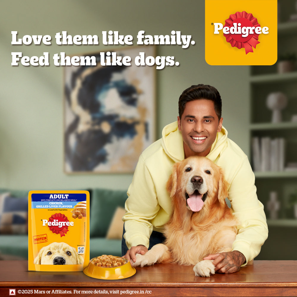 Pedigree Chicken Grilled Liver In Loaf With Vegetables Adult Dog Wet Food - 70 gm Packs - Heads Up For Tails