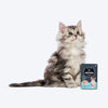 Meowsi by HUFT Chicken & Salmon Mousse Kitten Wet Food, 70 gm, complete meal with vitamins and minerals, grain-free.