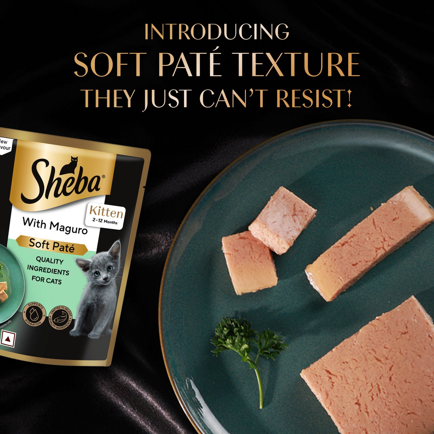 Sheba Maguro Pate Wet Food For Kitten - 70 gm - Heads Up For Tails