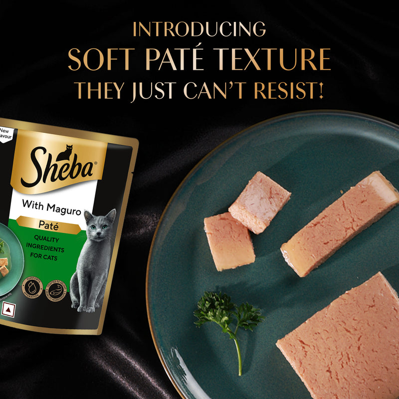 Sheba Maguro Pate Wet Food For Adult Cat - 70 gm - Heads Up For Tails