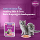 Whiskas Mackerel In Jelly Wet Food For Junior (2-12 Months) Kitten - 80 gm Pack