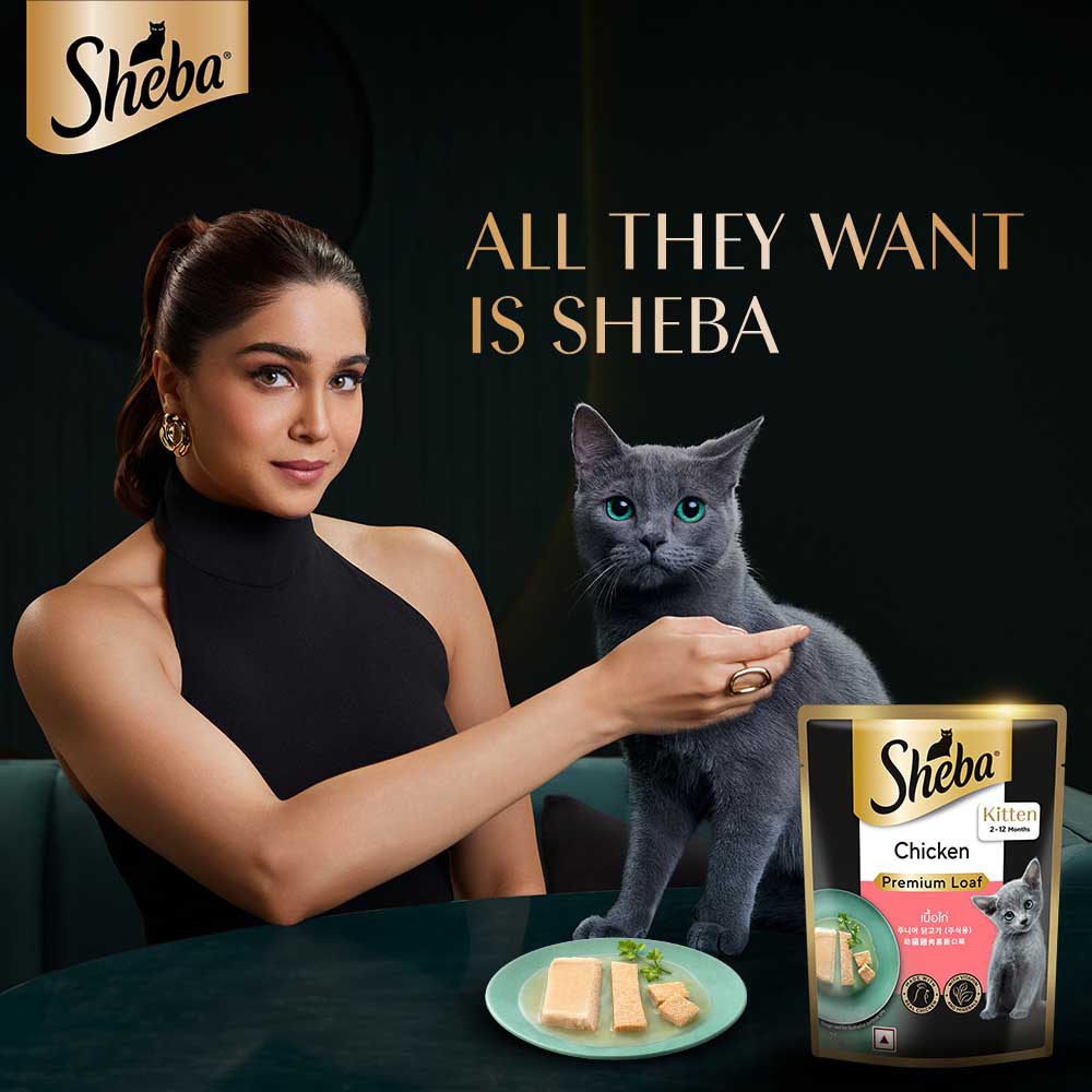 Sheba Chicken Premium Loaf Wet Kitten Food - 70 gm Packs - Heads Up For Tails