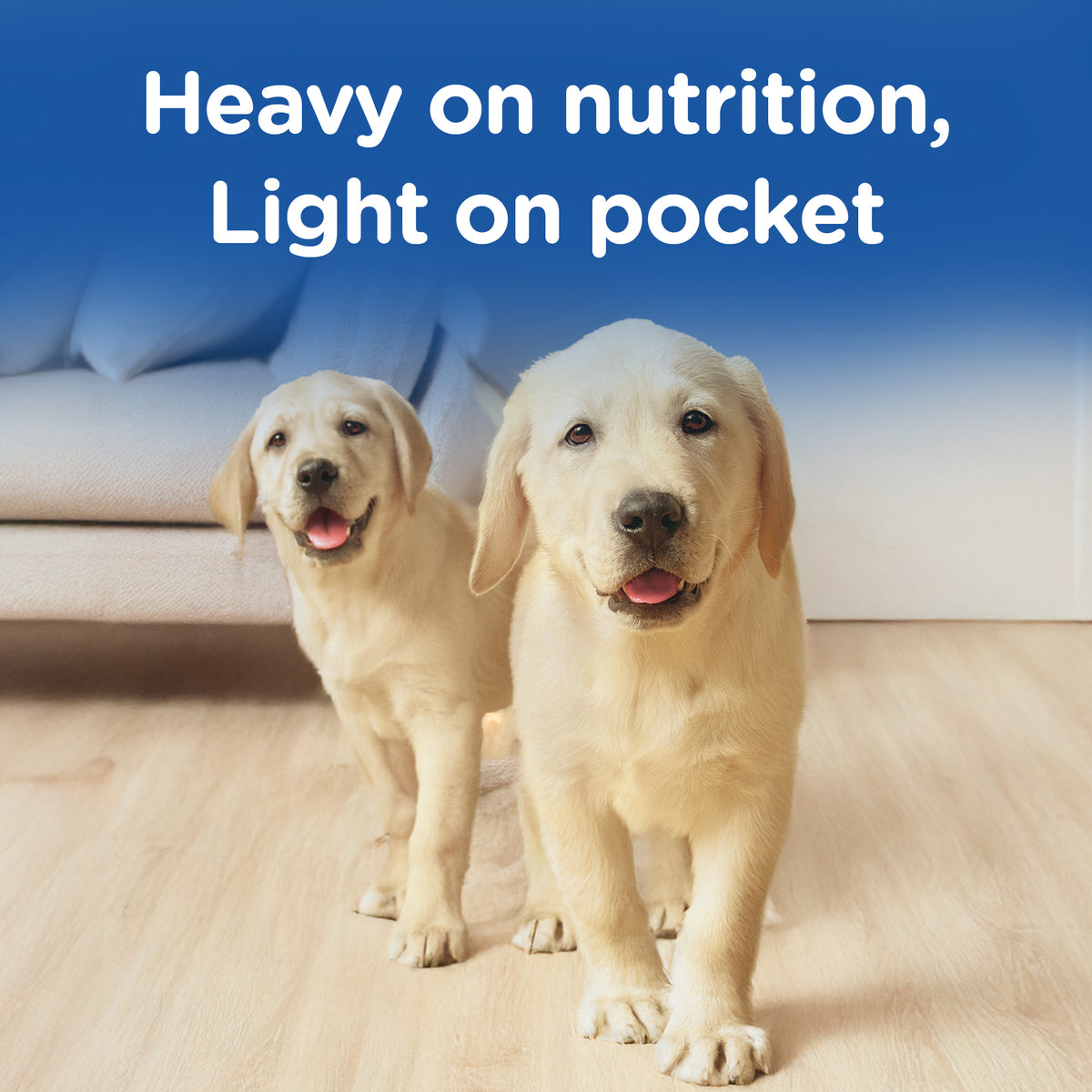Chappi Chicken & Milk Dry Food For Puppy - Heads Up For Tails