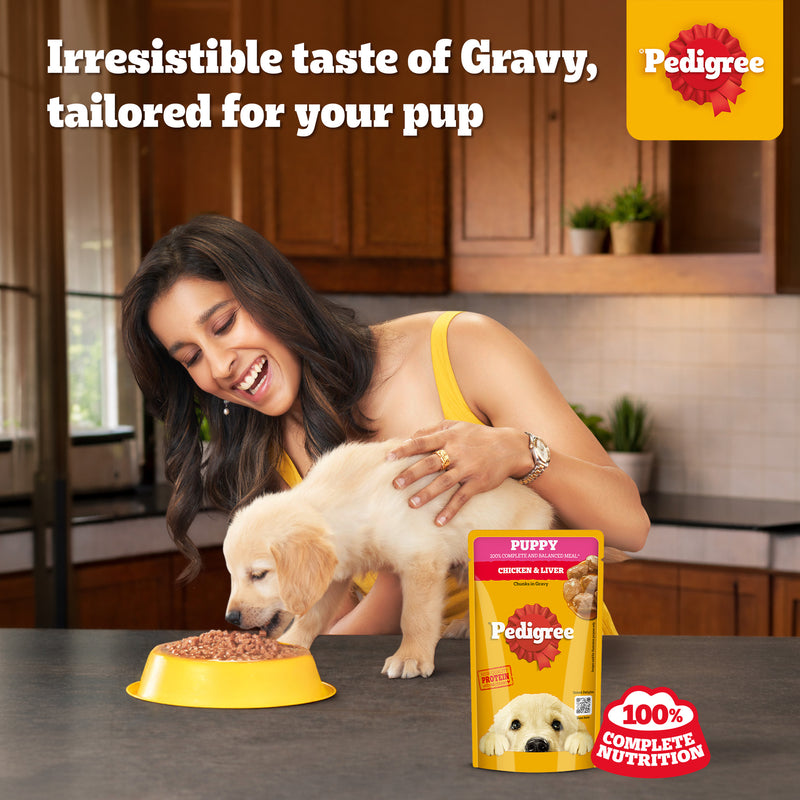 Pedigree Chicken & Liver Chunks In Gravy Puppy Wet Food - 130 g