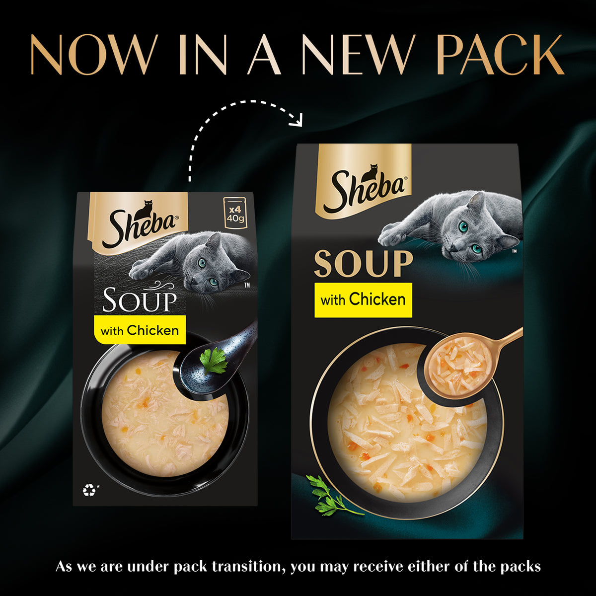 Sheba Soup With Chicken Wet Food For Cat - 40 gm x 4 pcs