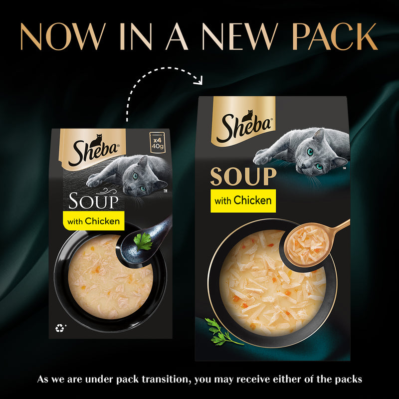 Sheba Soup With Chicken Wet Food For Cat - 40 gm x 4 pcs