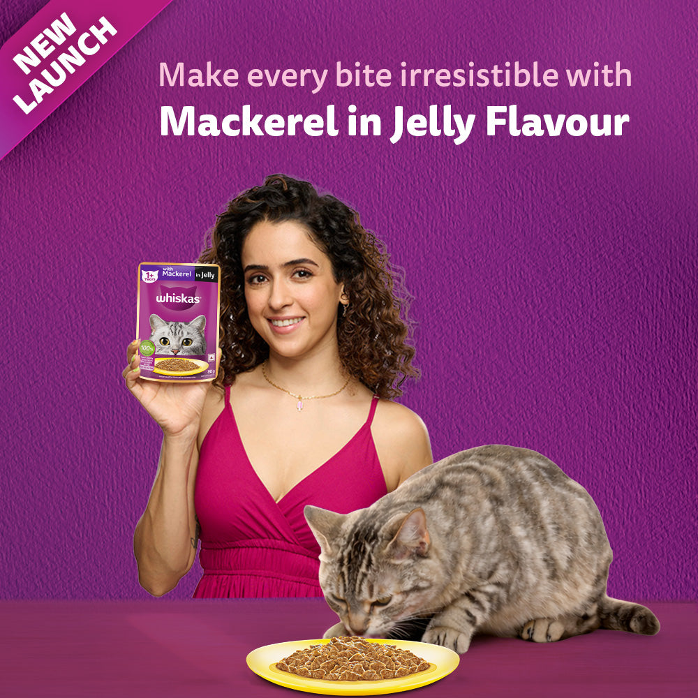 Whiskas Mackerel In Jelly (1+ Years) Adult Cat Wet Food - 80 gm Pack