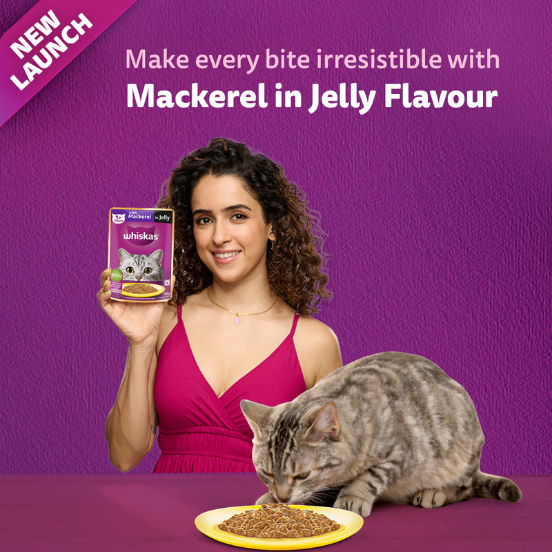 Whiskas Mackerel In Jelly (1+ Years) Adult Cat Wet Food - 80 gm Pack
