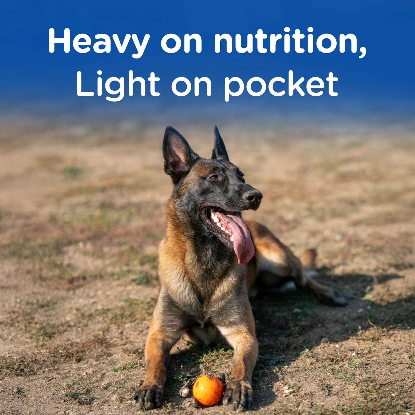 Chappi Adult (1+ Years) Dry Dog Food - Chicken and Rice