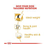 Royal Canin Labrador Retriever Adult Dry Dog Food - Heads Up For Tails