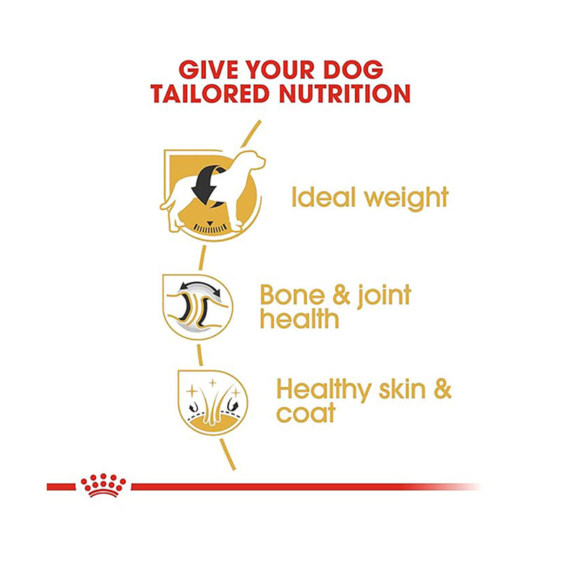 Royal Canin Labrador Retriever Adult Dry Dog Food - Heads Up For Tails